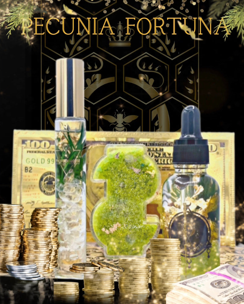 Pecunia Fortuna Potion Set