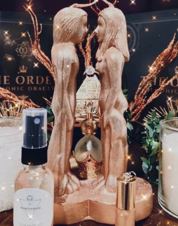 Elite Marriage Potion Set