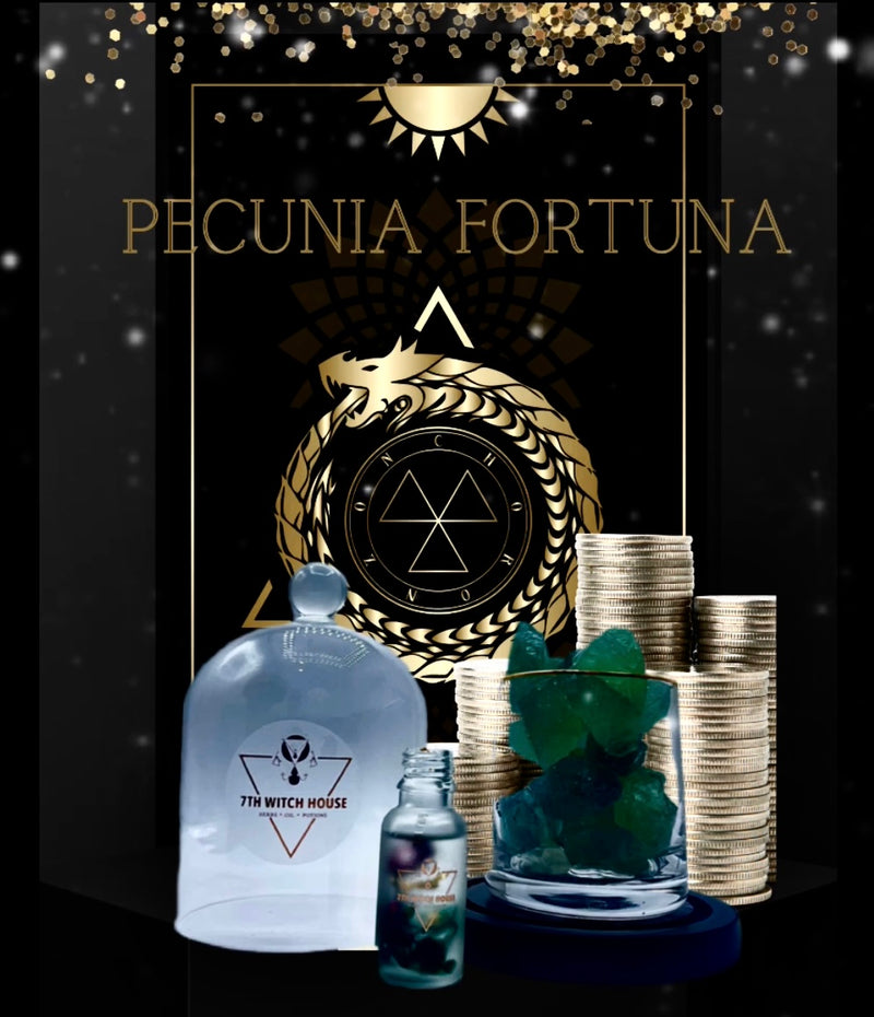 Pecunia Fortuna