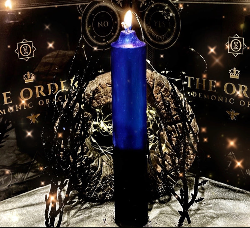 Shax Weight Gainer Hex